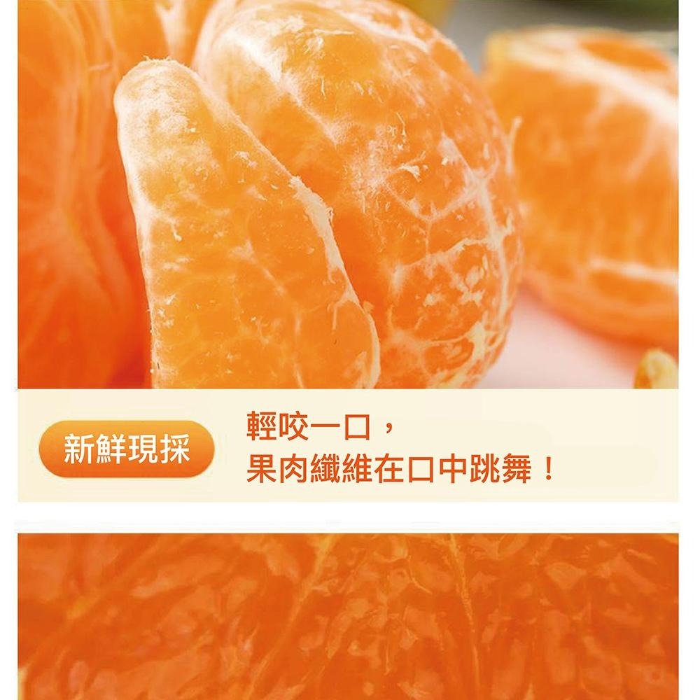 UTO嚴選｜南投中寮橘乾-細節圖6