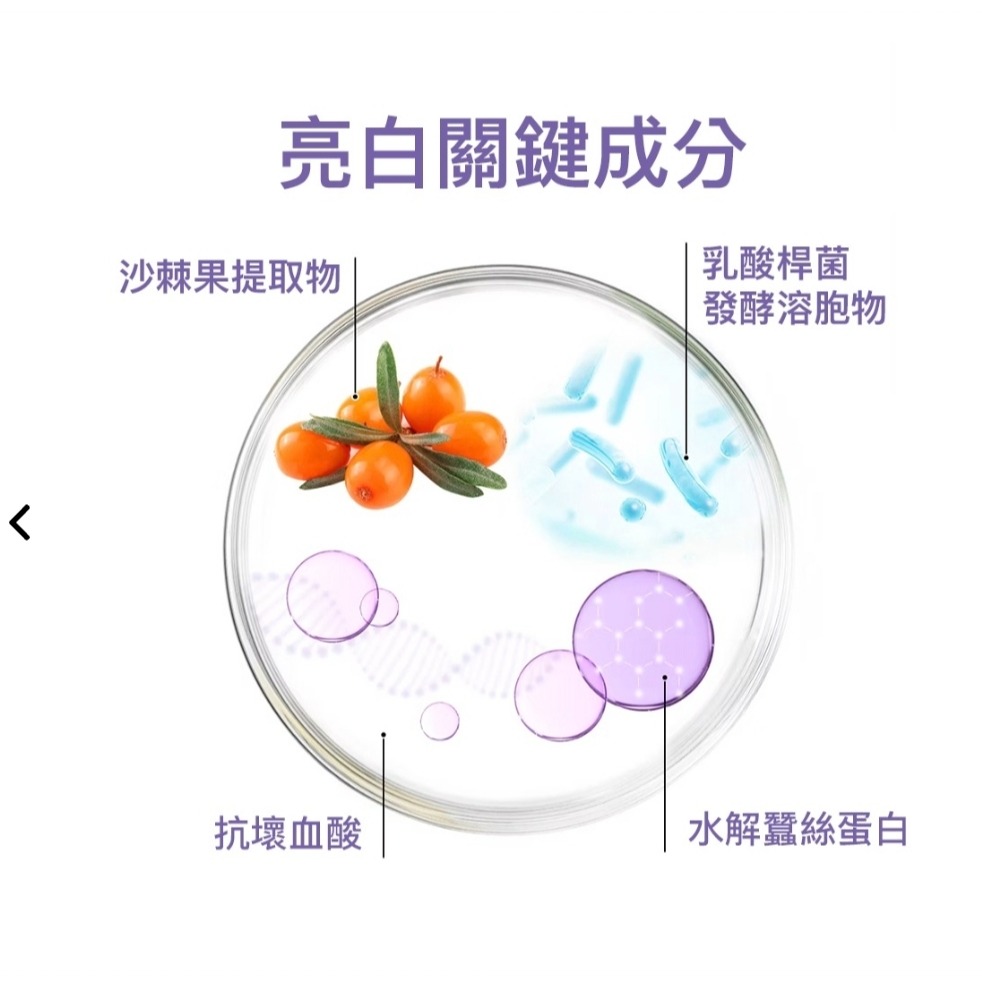 ＵＴＯ嚴選｜RENADO 樂納朵 煥白洗洗毛劑 白毛狗專用 韓國進口 韓國頂尖寵物美容師首選 寵物美容 護毛-細節圖3