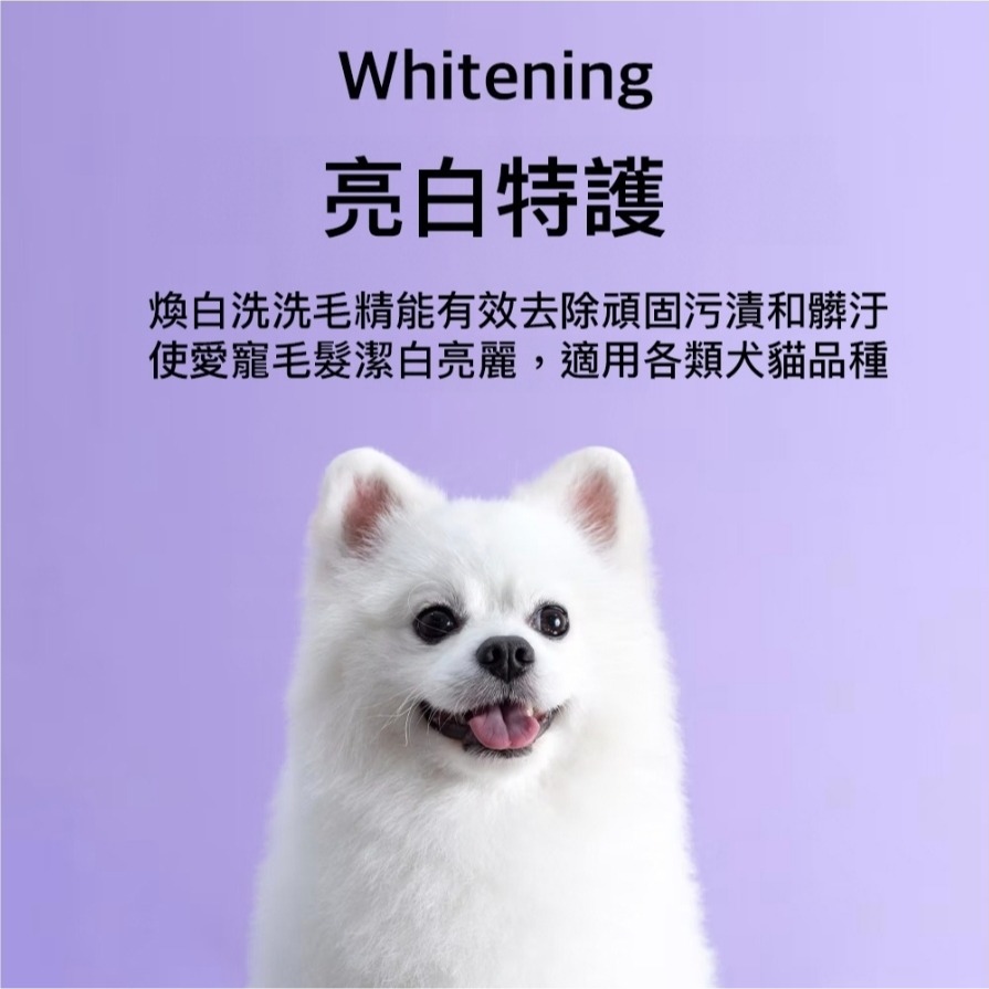 ＵＴＯ嚴選｜RENADO 樂納朵 煥白洗洗毛劑 白毛狗專用 韓國進口 韓國頂尖寵物美容師首選 寵物美容 護毛-細節圖4