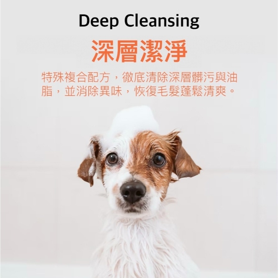 ＵＴＯ嚴選｜RENADO 樂納朵 清澈洗洗毛劑 深層潔淨 韓國進口 韓國頂尖寵物美容師首選 寵物美容 護毛-細節圖3