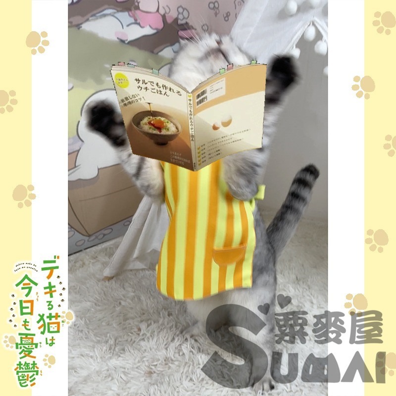 【MAIMAI SHOP♥】日韓精品=預購 能幹貓今天也憂鬱 諭吉 貓咪 寵物 圍裙 狗 衣服 服裝 拍照-細節圖2