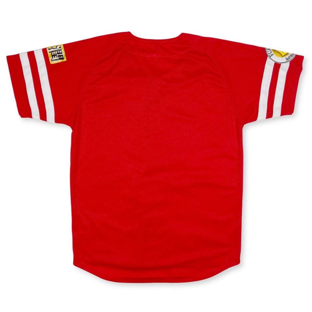 日本職棒 NPB 軟銀鷹 2010 鷹之祭典 電繡臂章 應援球衣 紅色 S、L (罩衫 棒球 壘球 棒壘 刺繡)-細節圖8