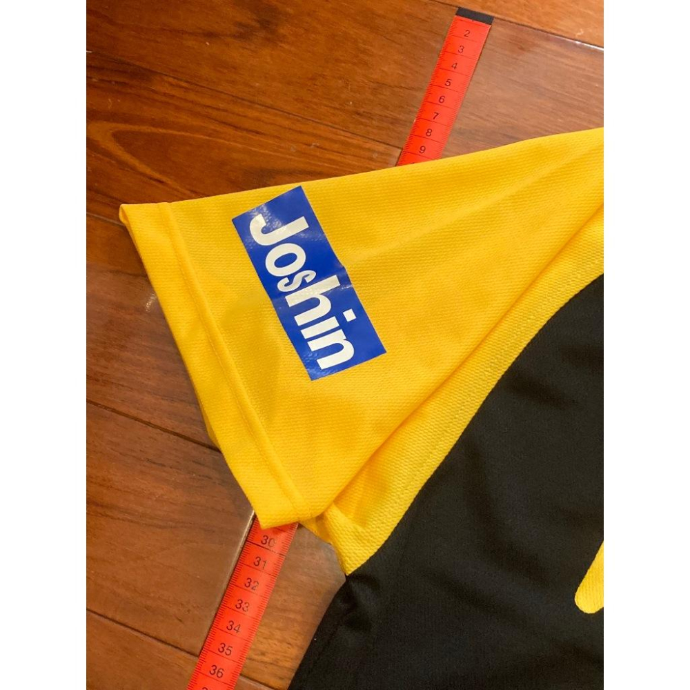 MIZUNO 日本職棒 阪神虎 大虎頭圓標 應援球衣 (罩衫 NPB 棒球 棒壘 美津濃)-細節圖4