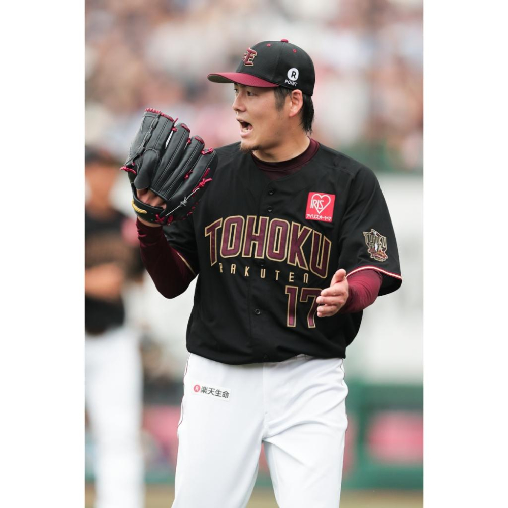 日本職棒 樂天金鷲 2018 東北驕傲 TOHOKU PRIDE 黑色 應援球衣 L (罩衫 NPB 棒球 棒壘 東北)-細節圖2