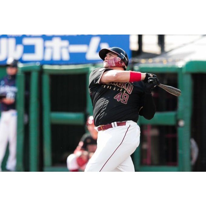 日本職棒 樂天金鷲 2018 東北驕傲 TOHOKU PRIDE 黑色 應援球衣 L (罩衫 NPB 棒球 棒壘 東北)-細節圖3