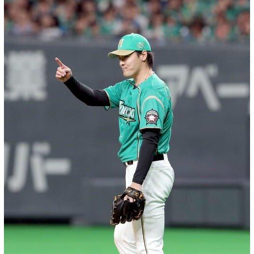 日本職棒 火腿鬥士 2019 我愛北海道 綠 應援球衣 L (罩衫 日職 NPB 北海道 棒球 壘球 棒壘)-細節圖2