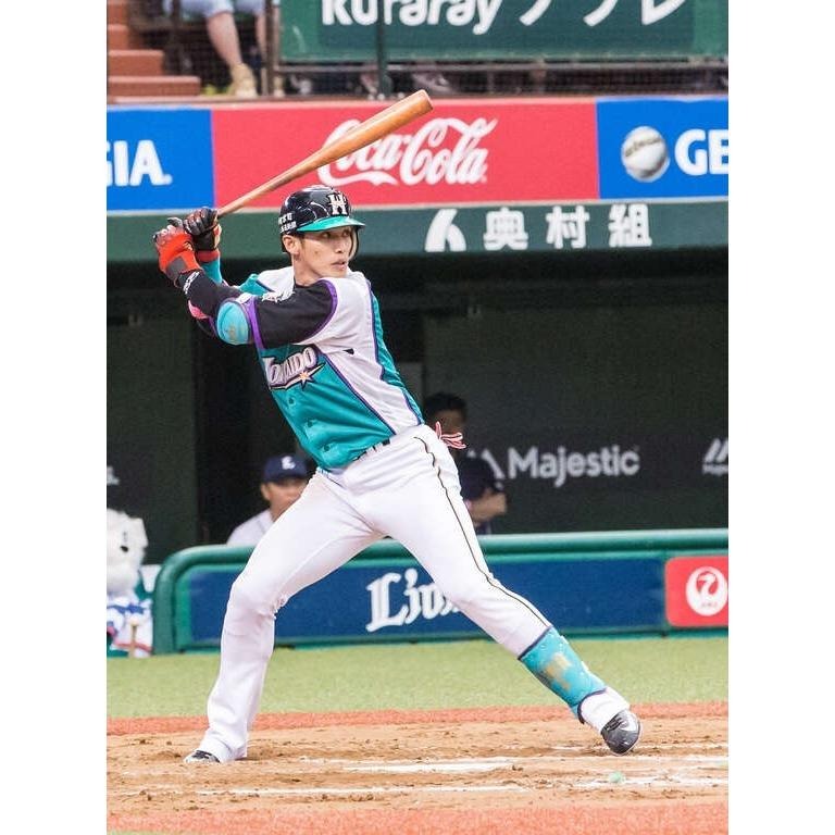 日本職棒 火腿鬥士 2016 我愛北海道 綠色 應援球衣 L (罩衫 日職 NPB 棒球 棒壘)-細節圖2