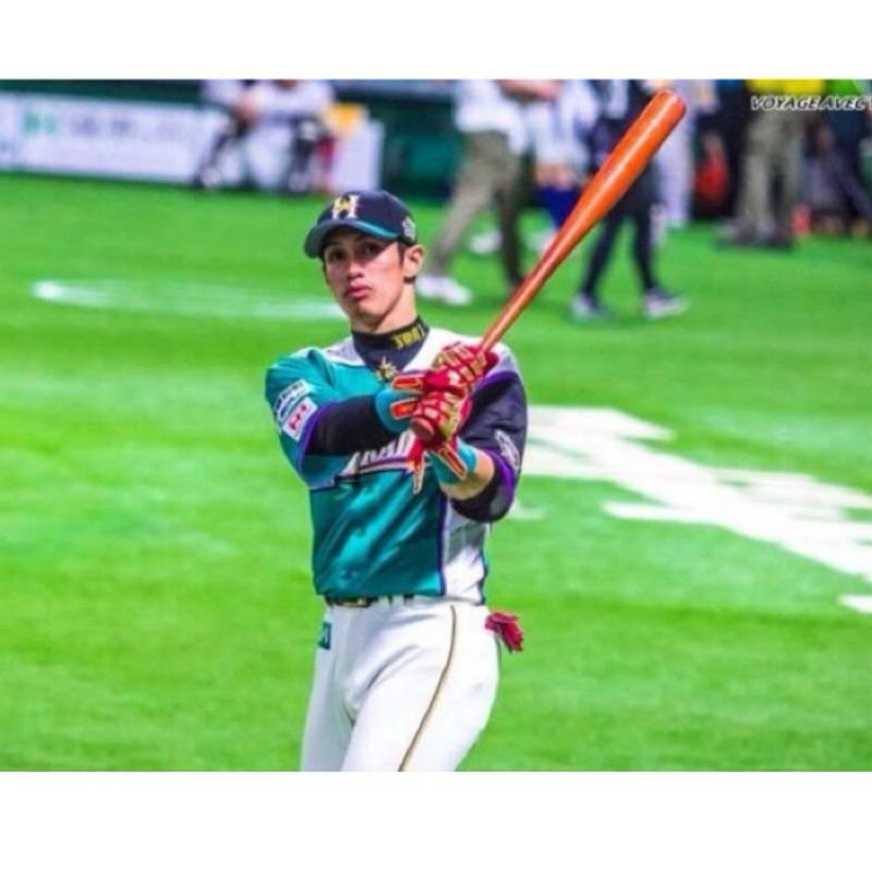 日本職棒 火腿鬥士 2016 我愛北海道 綠色 應援球衣 L (罩衫 日職 NPB 棒球 棒壘)-細節圖8