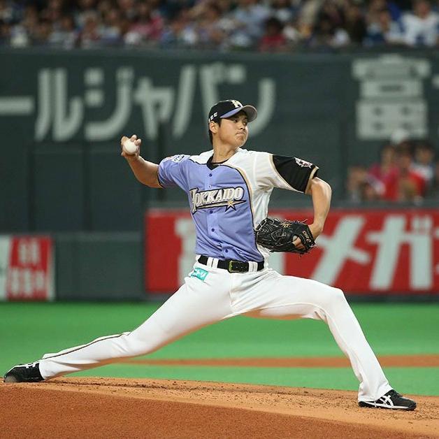 日本職棒 火腿鬥士 2015 我愛北海道 紫色 應援球衣 L (罩衫 日職 NPB 棒球 棒壘 壘球)-細節圖2