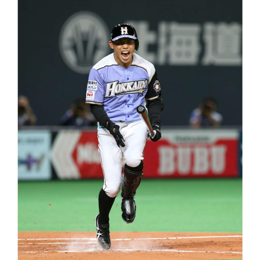 日本職棒 火腿鬥士 2015 我愛北海道 紫色 應援球衣 L (罩衫 日職 NPB 棒球 棒壘 壘球)-細節圖3