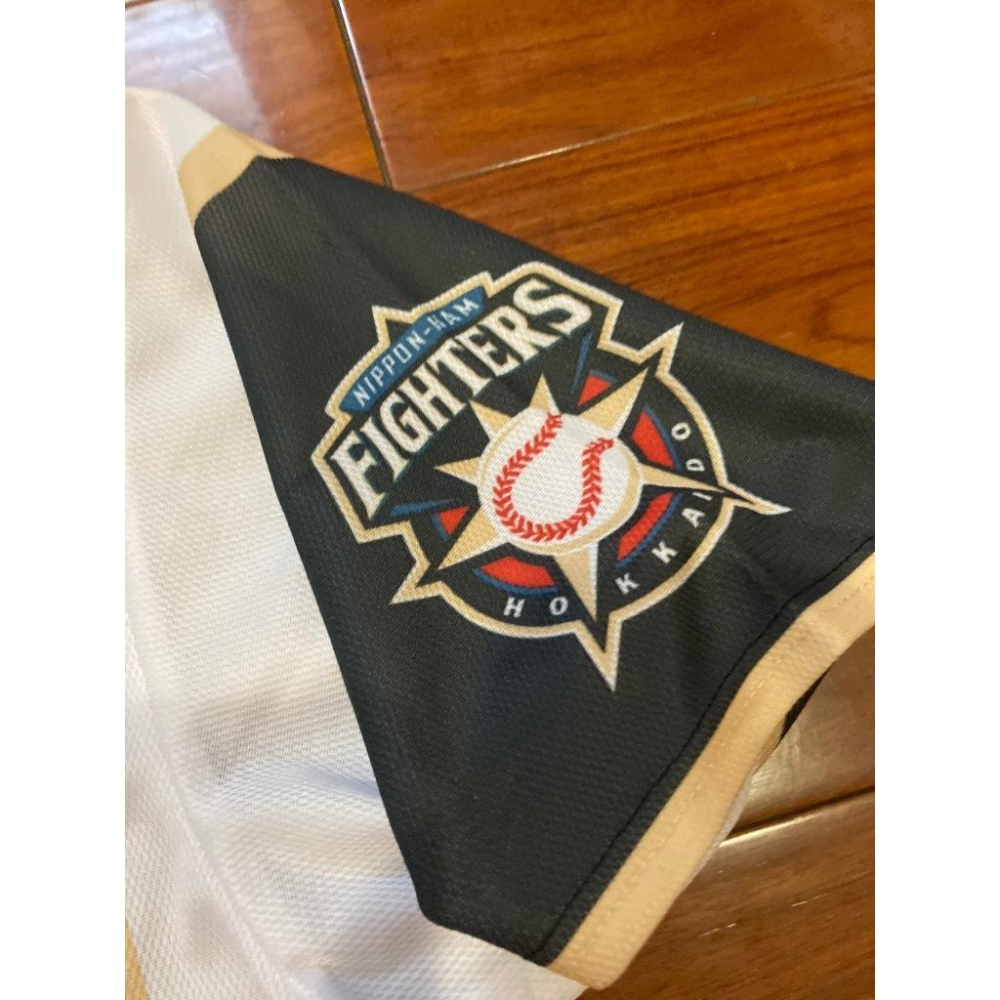 日本職棒 火腿鬥士 2015 我愛北海道 紫色 應援球衣 L (罩衫 日職 NPB 棒球 棒壘 壘球)-細節圖6