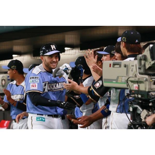 日本職棒 火腿鬥士 2015 我愛北海道 紫色 應援球衣 L (罩衫 日職 NPB 棒球 棒壘 壘球)-細節圖8