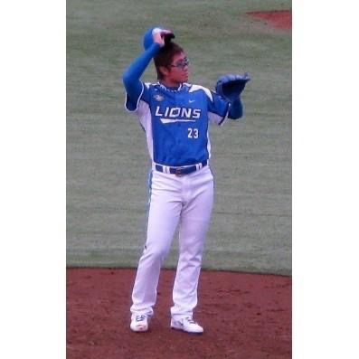 日本職棒 西武獅 電繡 2007 會員限定 客場 應援球衣 S~L (罩衫 日職 NPB 棒球 壘球 棒壘 刺繡 黃金期-細節圖2