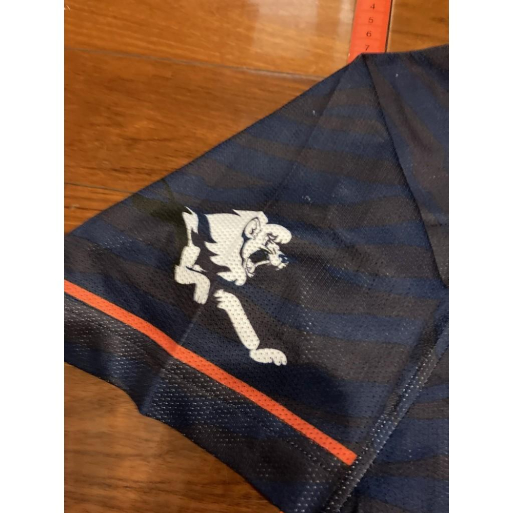 日本職棒 西武獅 2014 手塚治虫 森林大帝 聯名 應援球衣 (罩衫 日職 NPB 琦玉 棒球 壘球 棒壘 小尺寸)-細節圖6