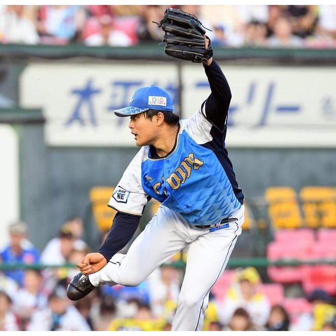 日本職棒 西武獅 2019 令和元年 令王 應援球衣 S、L(罩衫 日職 NPB 琦玉 棒球 棒壘 壘球 小尺寸)-細節圖3