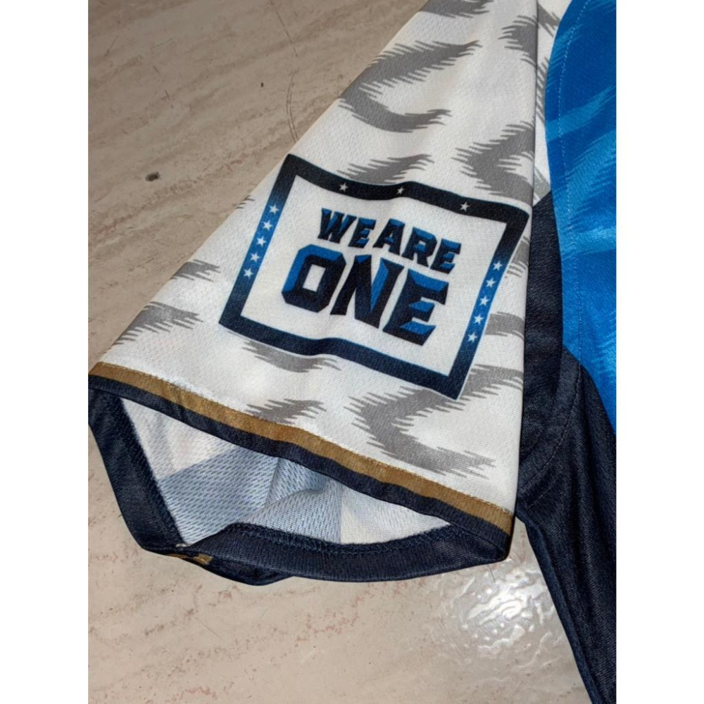 日本職棒 西武獅 2019 令和元年 令王 應援球衣 S、L(罩衫 日職 NPB 琦玉 棒球 棒壘 壘球 小尺寸)-細節圖6