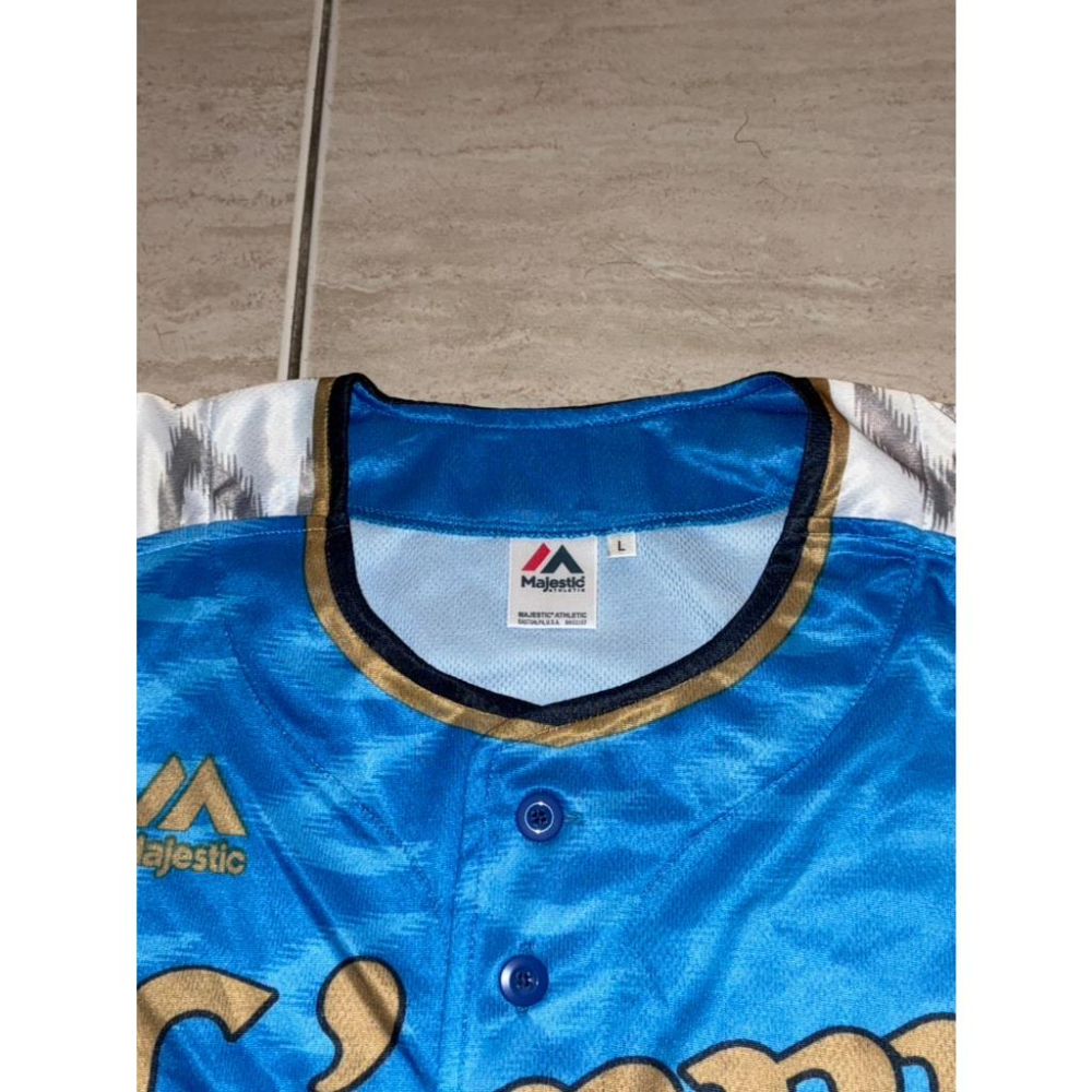 日本職棒 西武獅 2019 令和元年 令王 應援球衣 S、L(罩衫 日職 NPB 琦玉 棒球 棒壘 壘球 小尺寸)-細節圖7