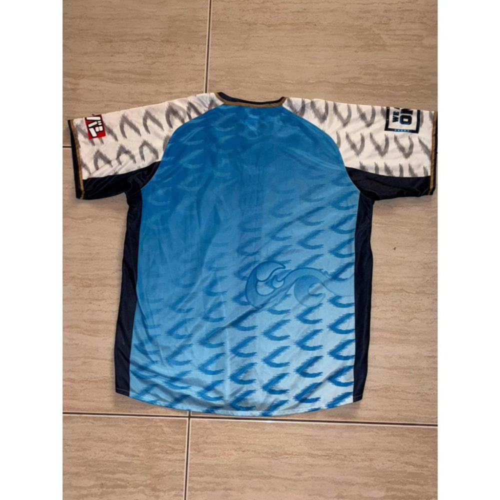 日本職棒 西武獅 2019 令和元年 令王 應援球衣 S、L(罩衫 日職 NPB 琦玉 棒球 棒壘 壘球 小尺寸)-細節圖8