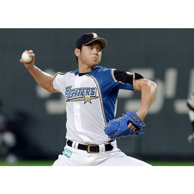 日本職棒 火腿鬥士 背號 排汗練習衣 M、L、XL (球衣 NPB 棒球 棒壘 T恤 運動 北海道 短T 上衣)-細節圖2