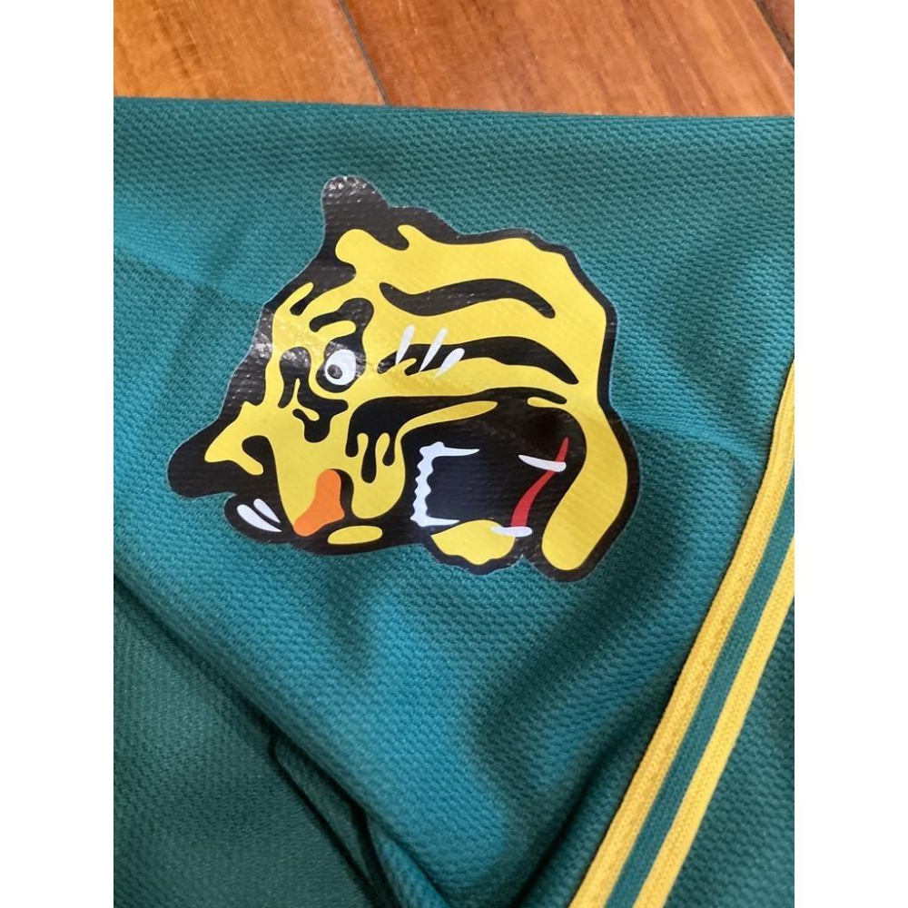 日本職棒 阪神虎 2014 虎之夏 綠色 應援球衣 L (罩衫 日職 NPB 棒球 棒壘 壘球 墨綠)-細節圖4