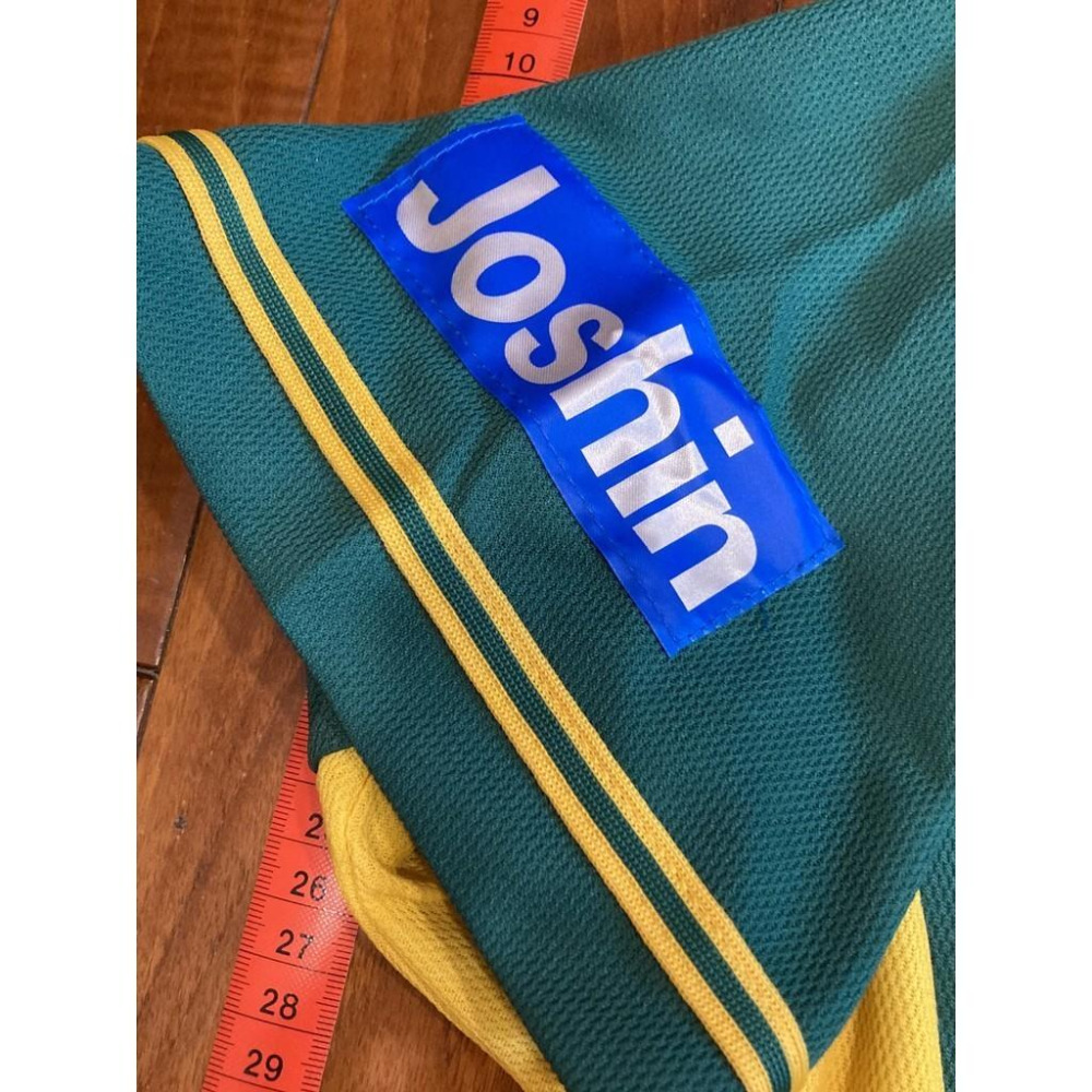 日本職棒 阪神虎 2014 虎之夏 綠色 應援球衣 L (罩衫 日職 NPB 棒球 棒壘 壘球 墨綠)-細節圖5