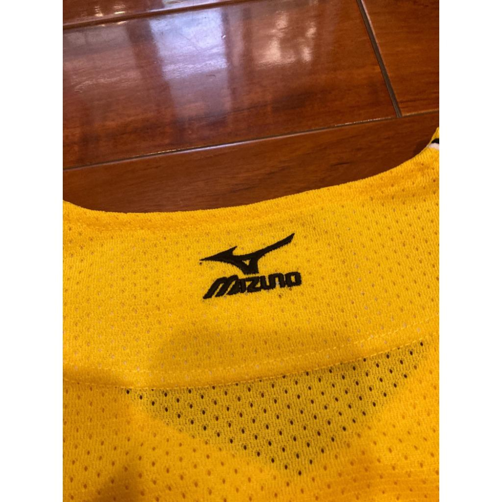 MIZUNO 日本職棒 阪神虎 全電繡 2008 會員限定 應援球衣 (罩衫 小尺寸 NPB 棒球 兄弟 美津濃 刺繡)-細節圖4