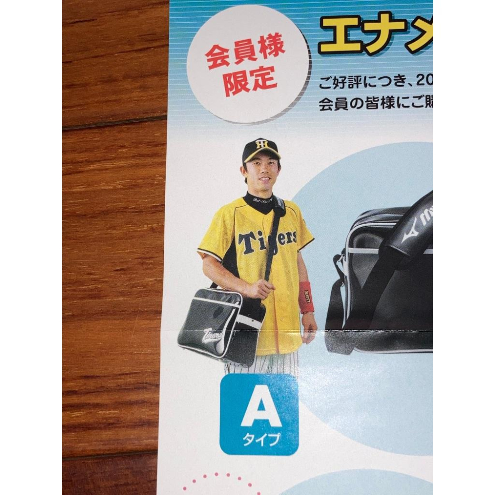 MIZUNO 日本職棒 阪神虎 全電繡 2008 會員限定 應援球衣 (罩衫 小尺寸 NPB 棒球 兄弟 美津濃 刺繡)-細節圖8