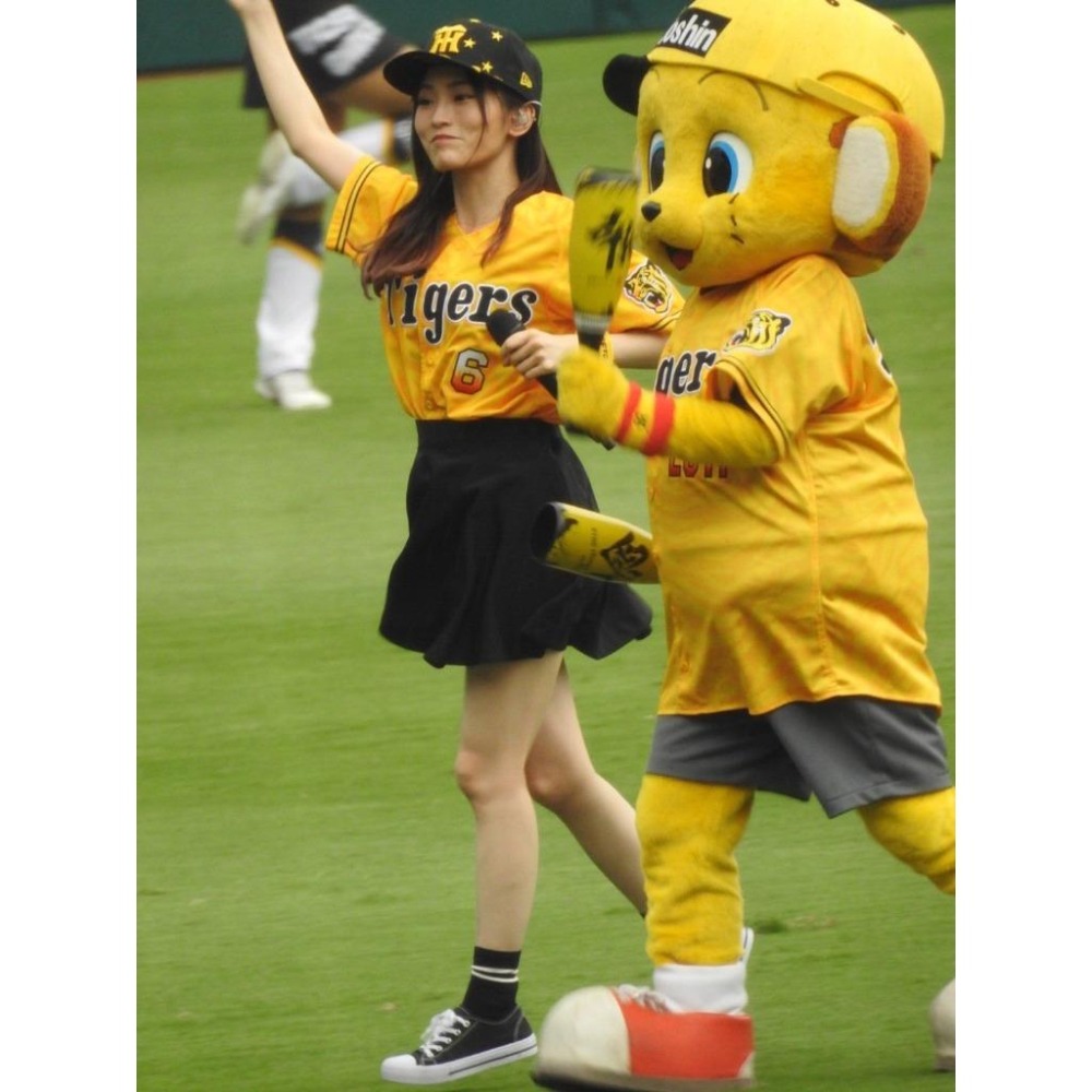 日本職棒 阪神虎 2018 虎之夏 虎紋 應援球衣 (罩衫 日職 NPB 棒球 壘球 棒壘 中信兄弟)-細節圖2