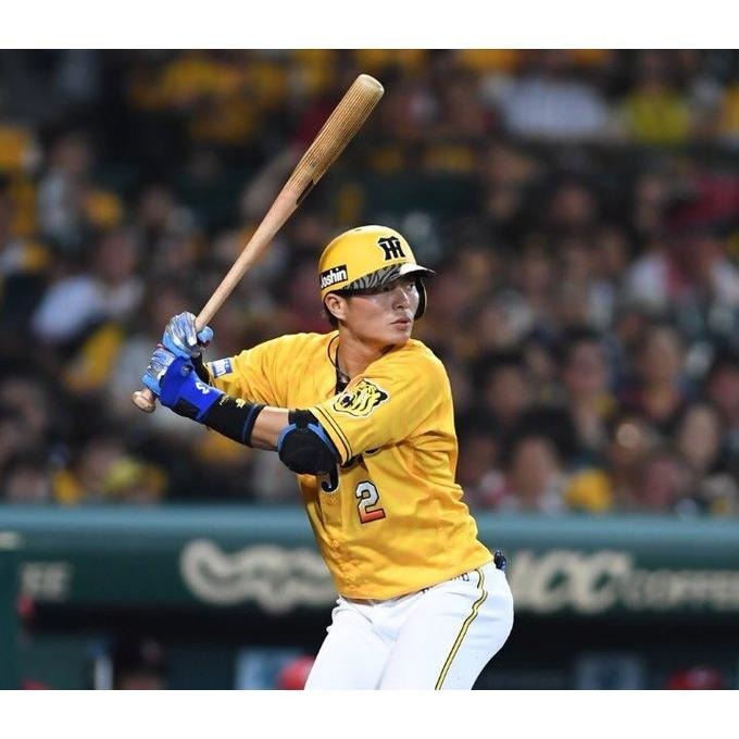 日本職棒 阪神虎 2018 虎之夏 虎紋 應援球衣 (罩衫 日職 NPB 棒球 壘球 棒壘 中信兄弟)-細節圖4