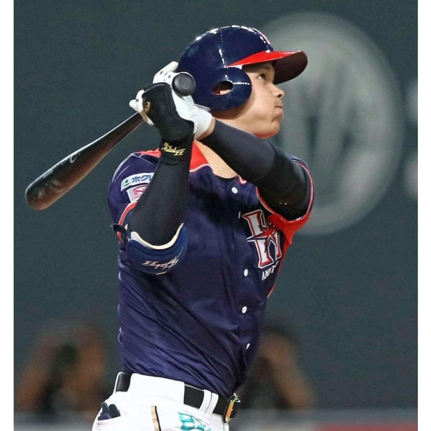 日本職棒 火腿鬥士 2017 壯志雄心 be AMBITIOUS 應援球衣 L(罩衫 日職 NPB 北海道 棒球 棒壘)-細節圖2