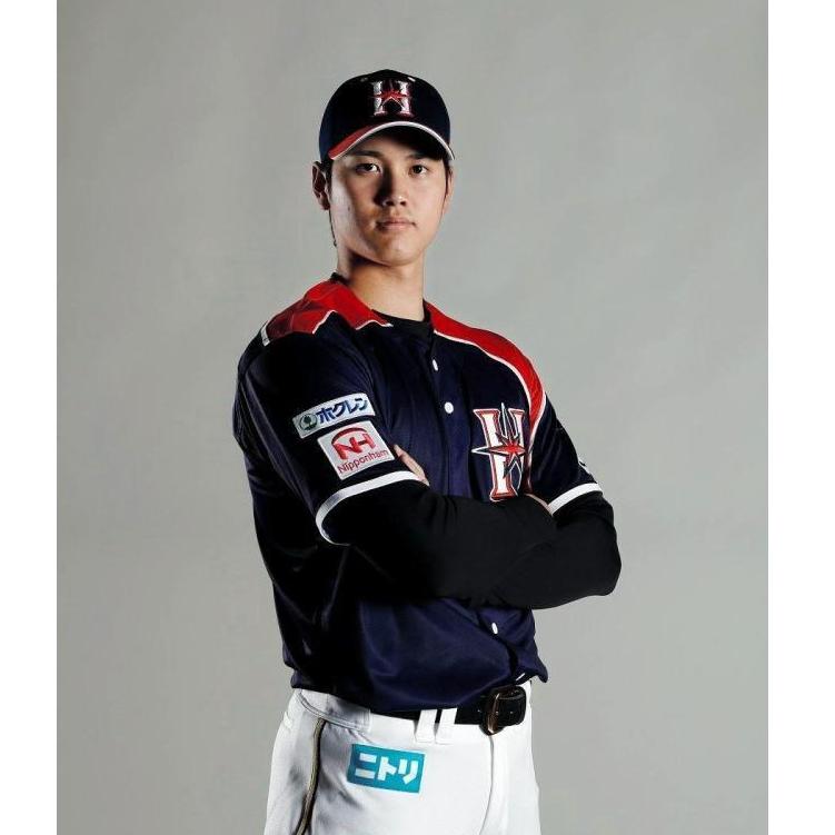 日本職棒 火腿鬥士 2017 壯志雄心 be AMBITIOUS 應援球衣 L(罩衫 日職 NPB 北海道 棒球 棒壘)-細節圖4