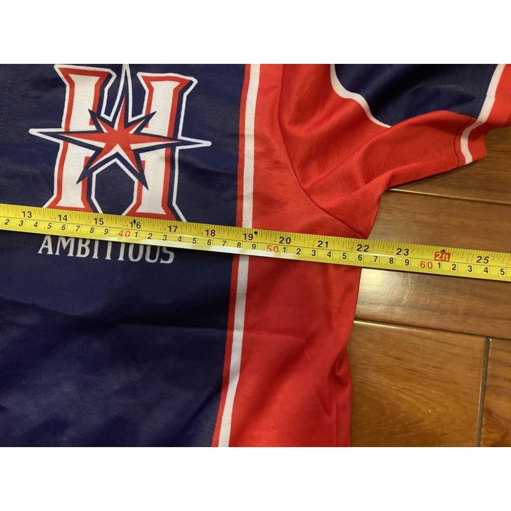 日本職棒 火腿鬥士 2017 壯志雄心 be AMBITIOUS 應援球衣 L(罩衫 日職 NPB 北海道 棒球 棒壘)-細節圖6