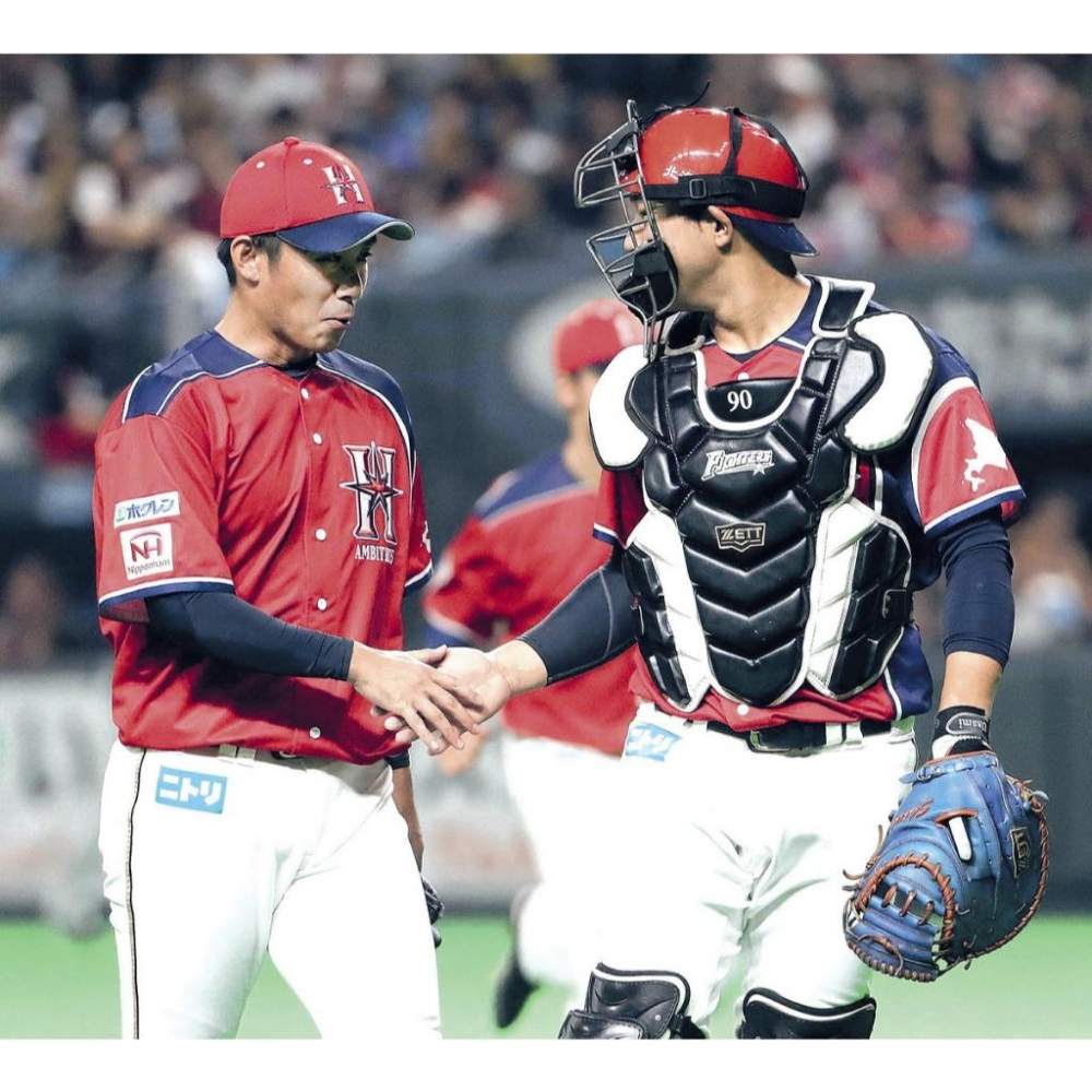 日本職棒 火腿鬥士 2019 壯志雄心 be AMBITIOUS 應援球衣 (罩衫 日職 NPB 北海道 棒球 棒壘)-細節圖2