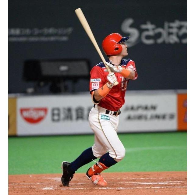 日本職棒 火腿鬥士 2019 壯志雄心 be AMBITIOUS 應援球衣 (罩衫 日職 NPB 北海道 棒球 棒壘)-細節圖3