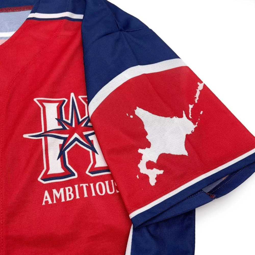 日本職棒 火腿鬥士 2019 壯志雄心 be AMBITIOUS 應援球衣 (罩衫 日職 NPB 北海道 棒球 棒壘)-細節圖5