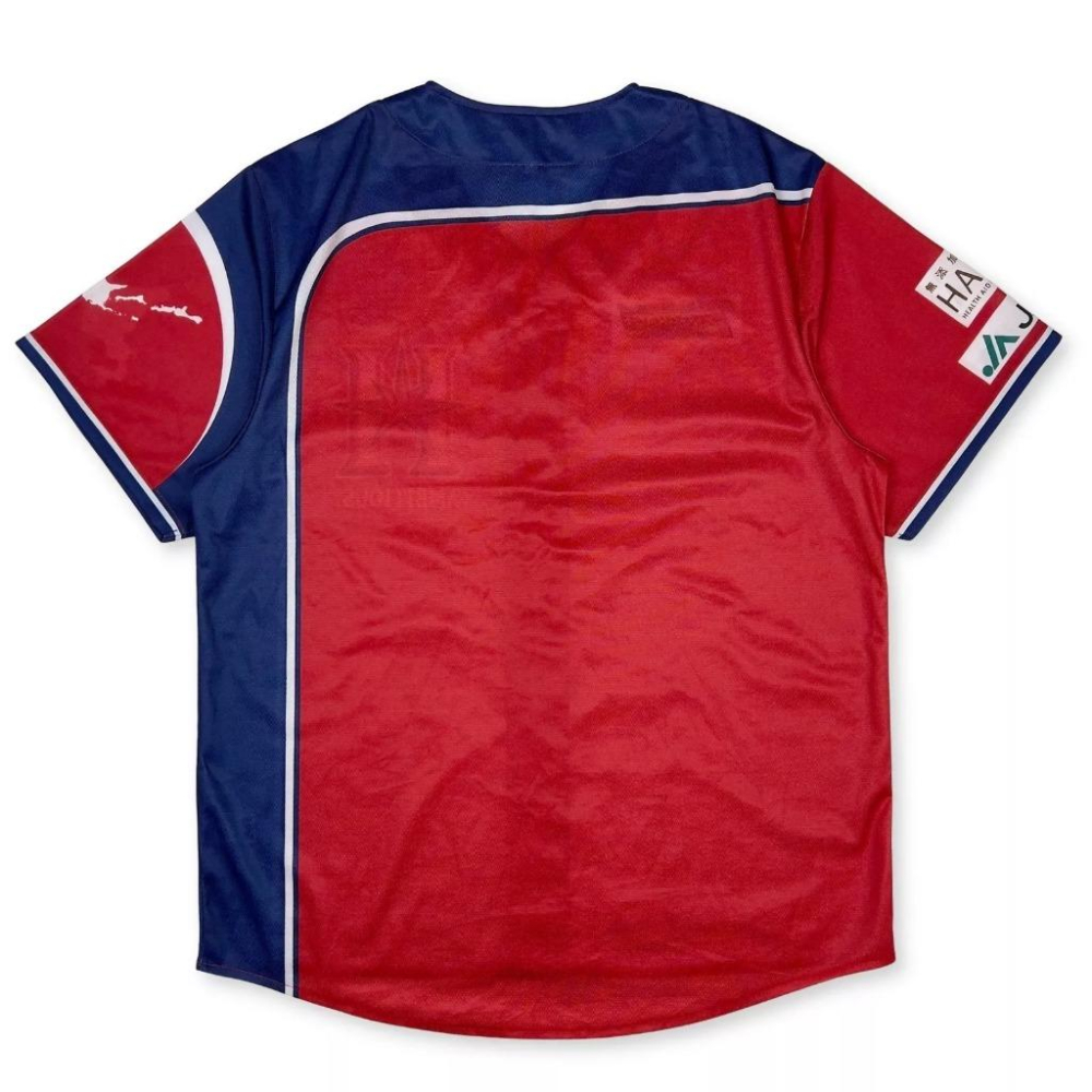 日本職棒 火腿鬥士 2019 壯志雄心 be AMBITIOUS 應援球衣 (罩衫 日職 NPB 北海道 棒球 棒壘)-細節圖7