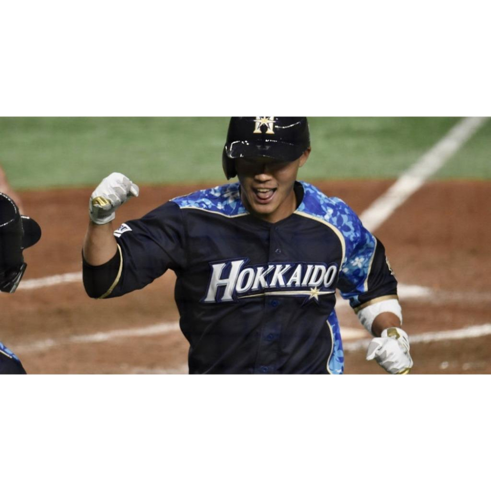 日本職棒 火腿鬥士 2021 我愛北海道 應援球衣 L(罩衫 日職 NPB 棒球 棒壘)-細節圖2