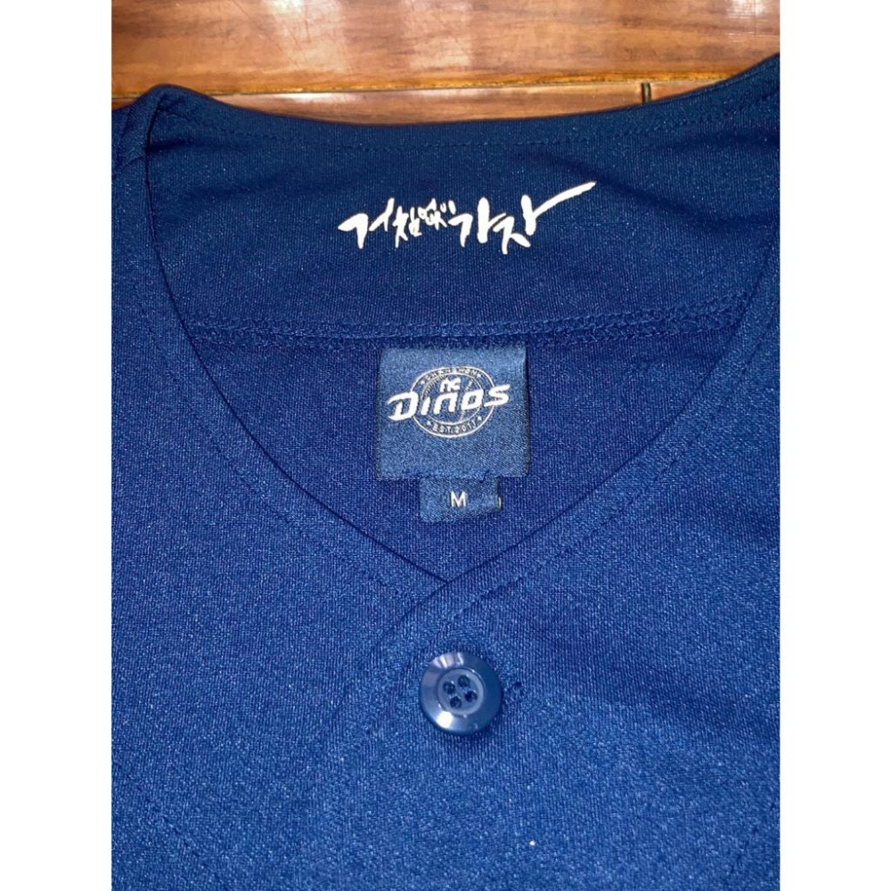 韓國職棒 KBO NC恐龍 2024 電繡補丁 客場 應援球衣 M (罩衫 南韓 棒球 棒壘 韓職 刺繡)-細節圖6