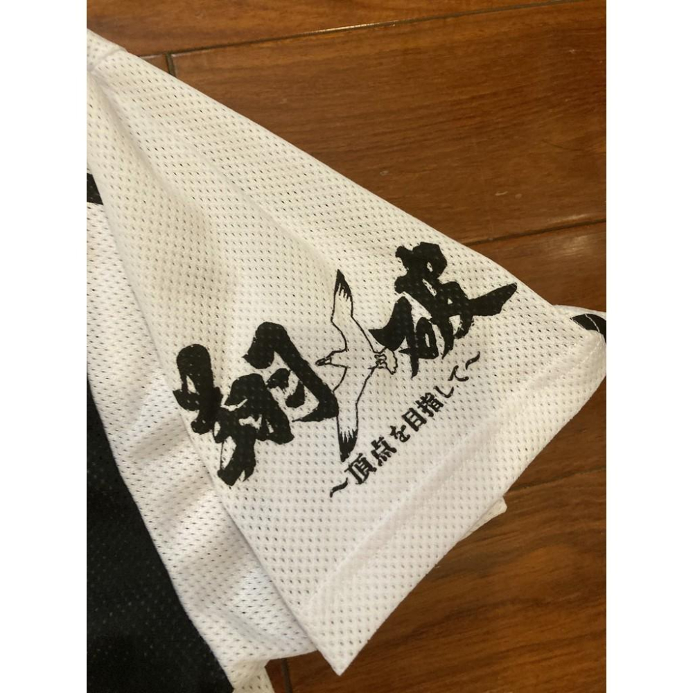 全新品 日本職棒 羅德海洋 2013 翔破-目標頂點 應援球衣 L(罩衫 NPB 棒球 棒壘 千葉 DESCENTE)-細節圖5