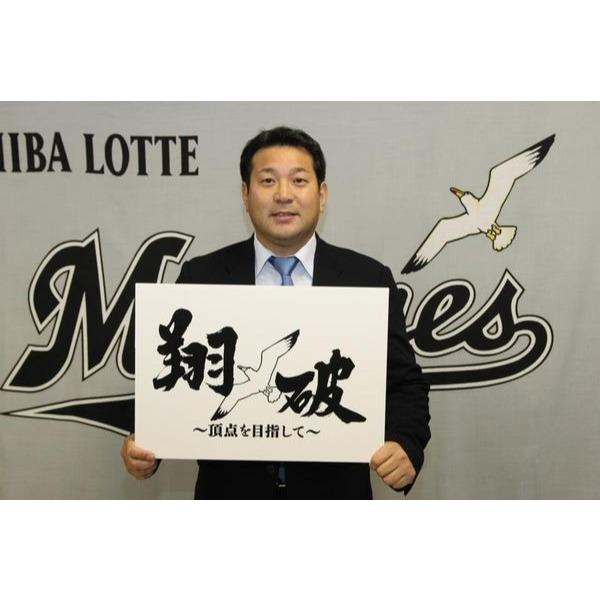 全新品 日本職棒 羅德海洋 2013 翔破-目標頂點 應援球衣 L(罩衫 NPB 棒球 棒壘 千葉 DESCENTE)-細節圖8