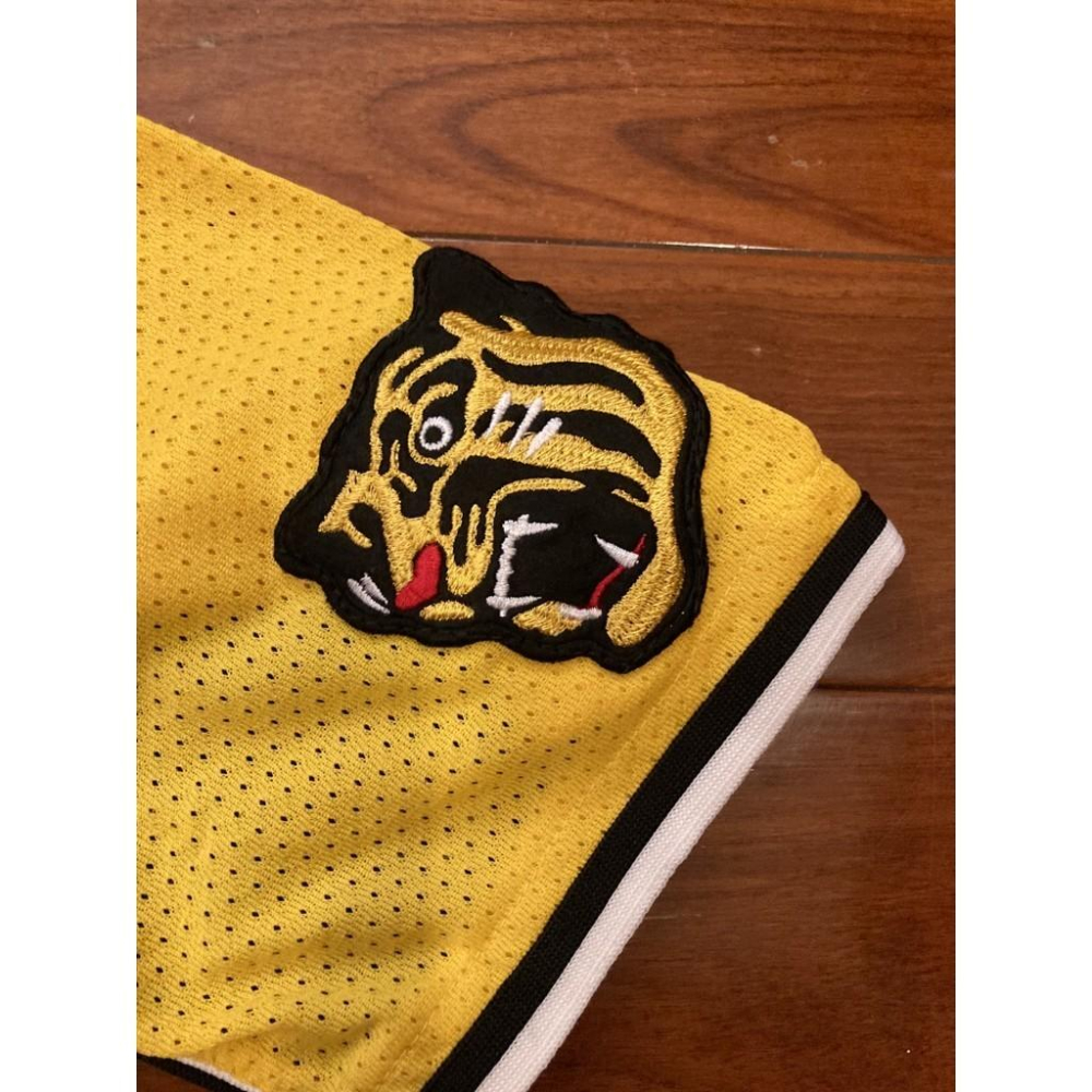 MIZUNO 日本職棒 阪神虎 刺繡款 會員限定 應援球衣 (罩衫 日職 NPB 棒球 兄弟 美津濃 電繡)-細節圖2