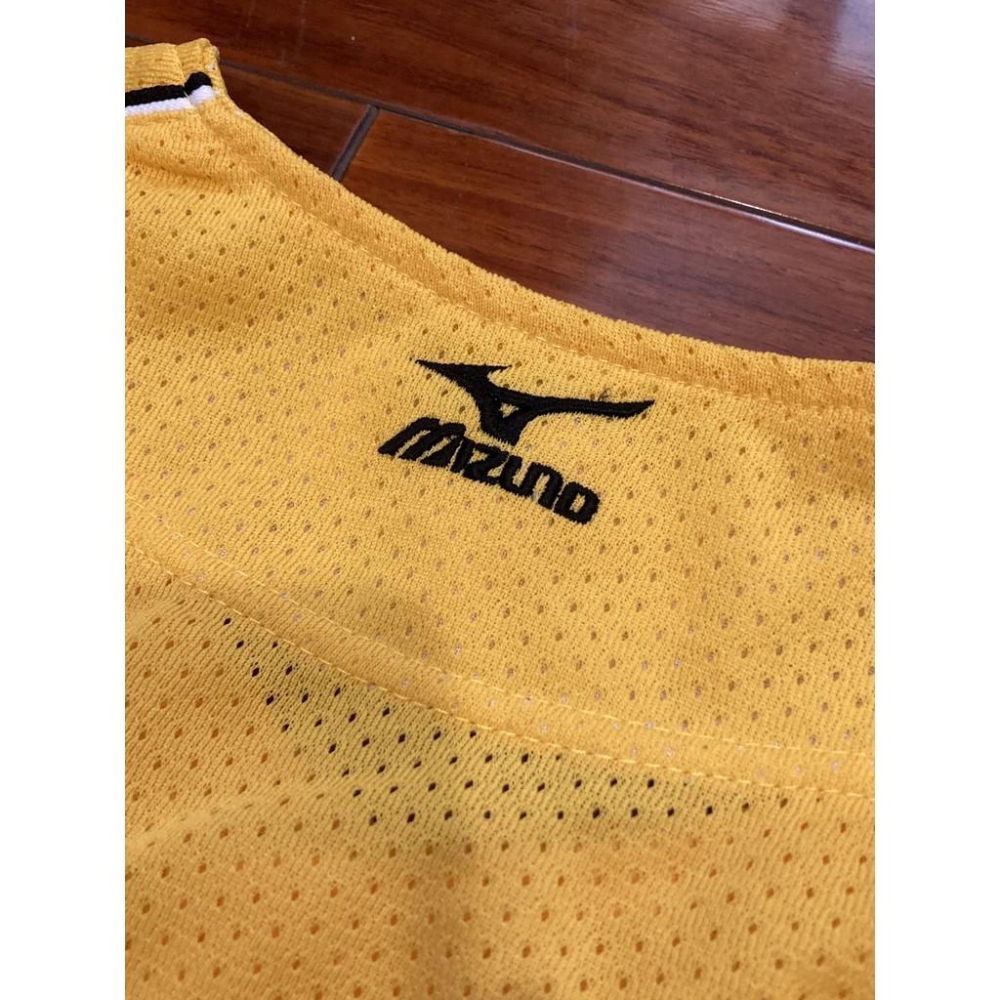MIZUNO 日本職棒 阪神虎 刺繡款 會員限定 應援球衣 (罩衫 日職 NPB 棒球 兄弟 美津濃 電繡)-細節圖3