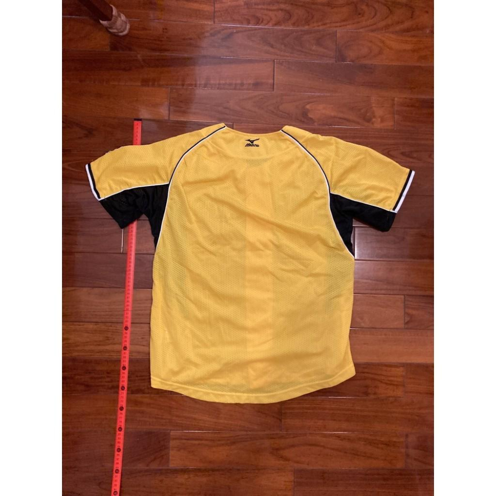 MIZUNO 日本職棒 阪神虎 刺繡款 會員限定 應援球衣 (罩衫 日職 NPB 棒球 兄弟 美津濃 電繡)-細節圖4