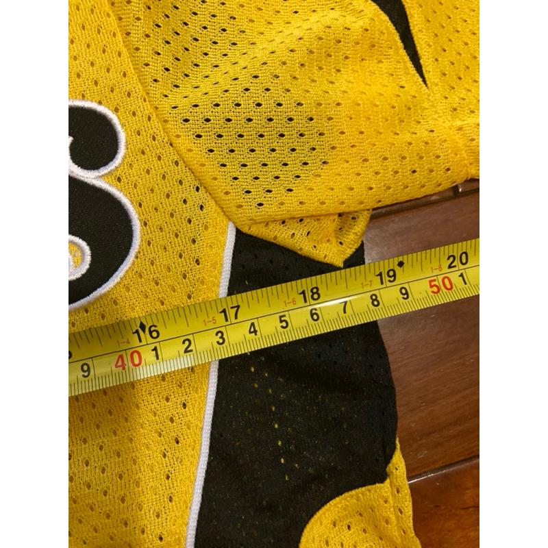 MIZUNO 日本職棒 阪神虎 刺繡款 會員限定 應援球衣 (罩衫 日職 NPB 棒球 兄弟 美津濃 電繡)-細節圖7