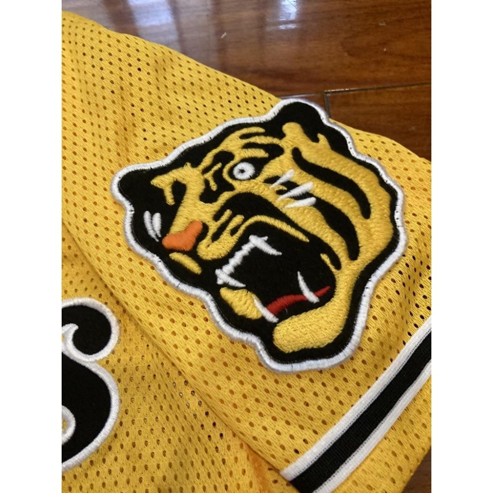 MIZUNO 日本職棒 阪神虎 全電繡 會員限定 應援球衣 (罩衫 NPB 棒球 兄弟 美津濃 刺繡 小尺寸)-細節圖4