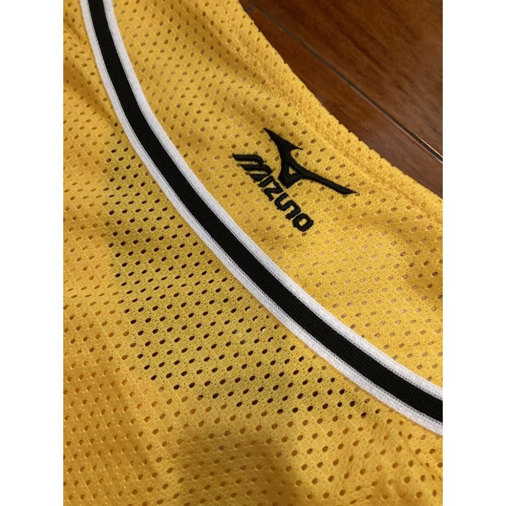 MIZUNO 日本職棒 阪神虎 全電繡 會員限定 應援球衣 (罩衫 NPB 棒球 兄弟 美津濃 刺繡 小尺寸)-細節圖5