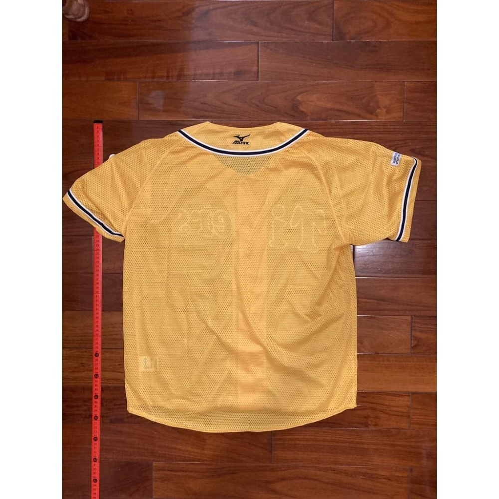MIZUNO 日本職棒 阪神虎 全電繡 會員限定 應援球衣 (罩衫 NPB 棒球 兄弟 美津濃 刺繡 小尺寸)-細節圖6