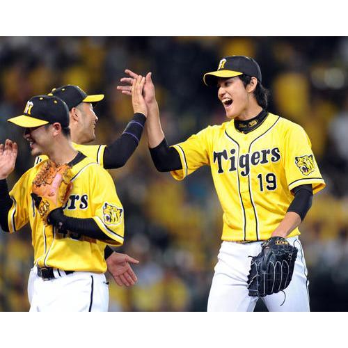 MIZUNO 阪神虎 全電繡 2006 會員特典 應援球衣 (罩衫 職棒 日本 NPB 棒球 兄弟 美津濃 刺繡)-細節圖2