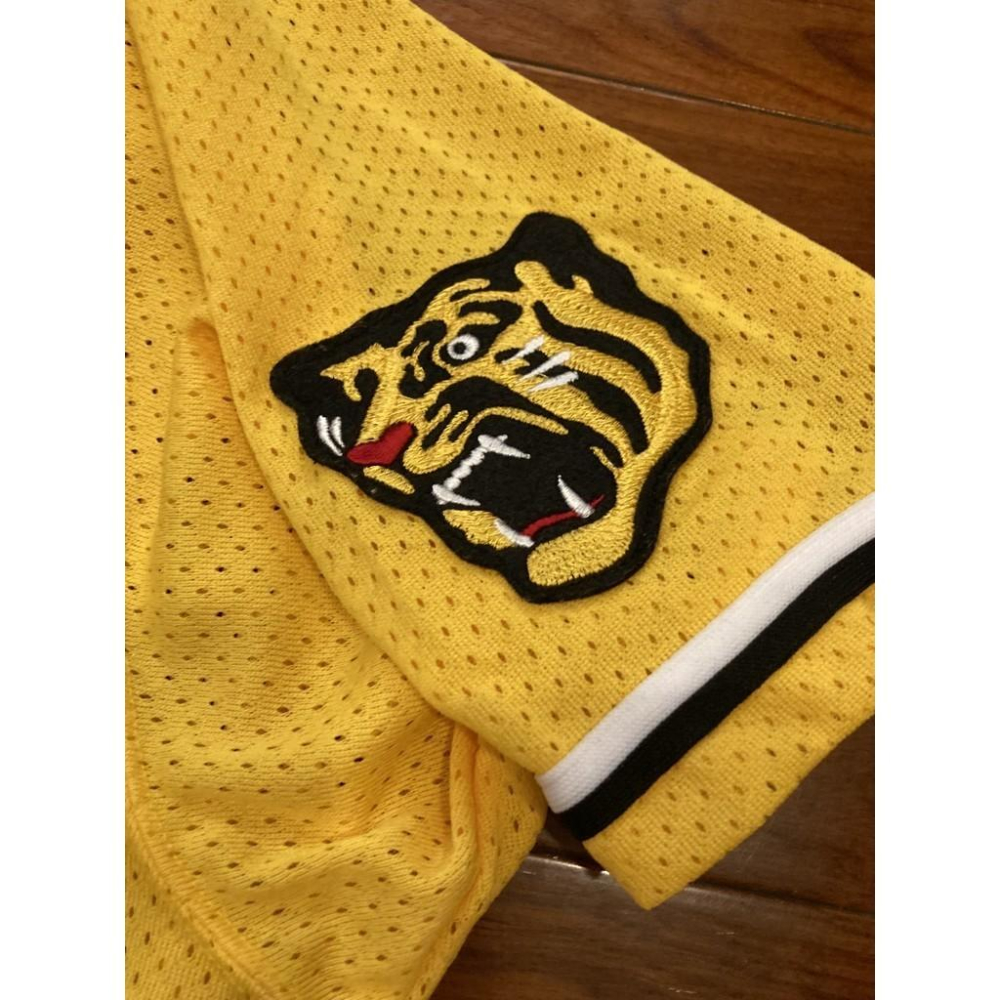 MIZUNO 阪神虎 全電繡 2006 會員特典 應援球衣 (罩衫 職棒 日本 NPB 棒球 兄弟 美津濃 刺繡)-細節圖3