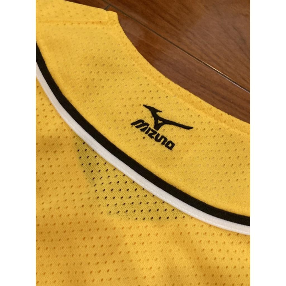 MIZUNO 阪神虎 全電繡 2006 會員特典 應援球衣 (罩衫 職棒 日本 NPB 棒球 兄弟 美津濃 刺繡)-細節圖4